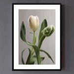 تابلو مدل Fresh tulips کد 248901992