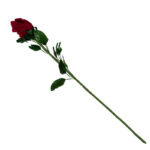 گل مصنوعی مدل رز طرح Feather Rose بسته 24 عددی