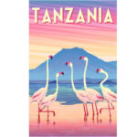 پازل 200 تکه راونزبرگر مدل Puzzle Moment Tanzania کد 12961