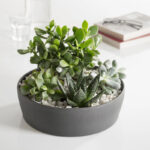 سنگ تزیینی ایکیا مدل DYFT-365