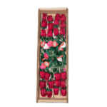 گل مصنوعی مدل رز طرح Feather Rose بسته 24 عددی