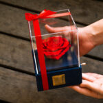 جعبه موزیکال گل ماندگار دکوفیوره مدل رز جاودان ملودی Happy birthday