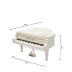 پیانو موزیکال مدل big304