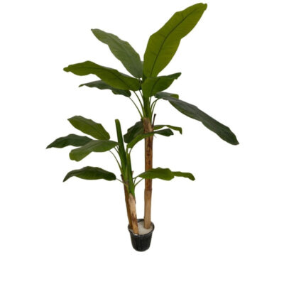 درختچه مصنوعی مدل درخت موز سه تنه